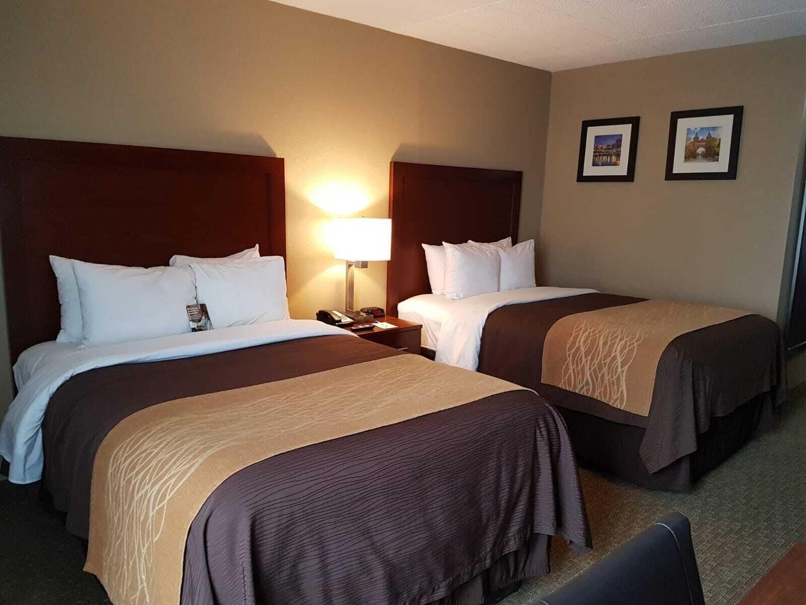 Comfort Inn Wethersfield - Hartford Εξωτερικό φωτογραφία